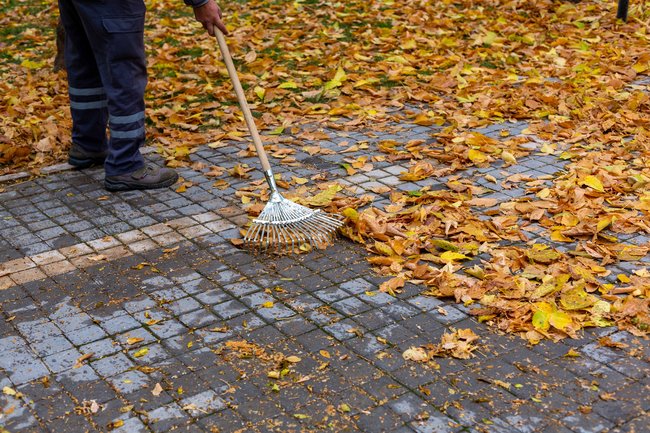 Herbstlaub: Wer muss eigentlich fegen und wie oft?