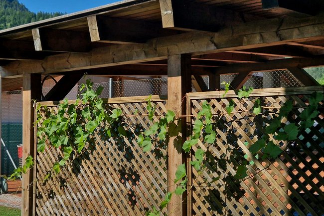 Sichtschutz: Ungestört auf Terrasse und Balkon