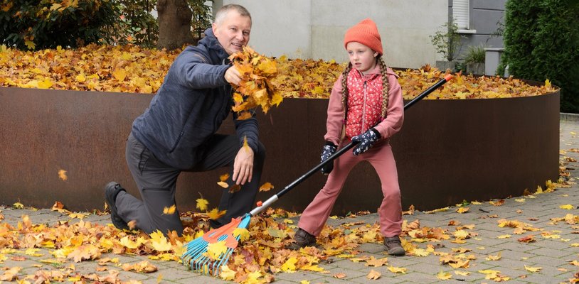 Herbstlaub: Wer muss es wann und wie beseitigen?
