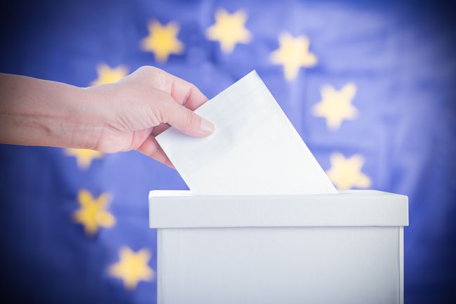 "Die EU-Wahlen 2024 sind ein entscheidender Schritt"