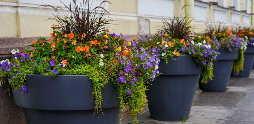 Darf man den Gehweg vor dem Haus mit Blumenkübeln verschönern?