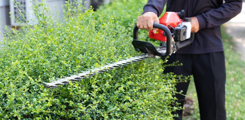 Hecke nicht zurückgeschnitten: Droht ein Zwangsgeld?